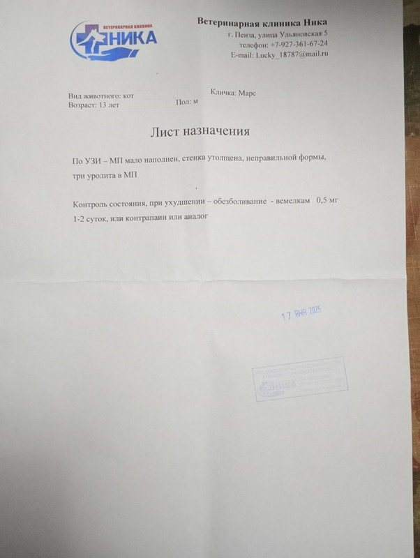 марс назначения 17.01.2025