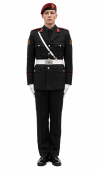 Soldat de la haie d'honneur