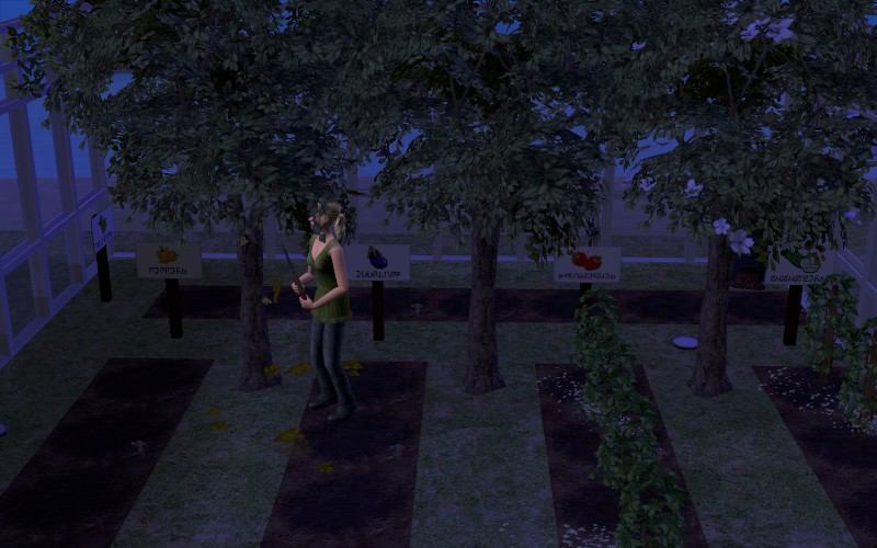 Lakewood-round5-276-800x500