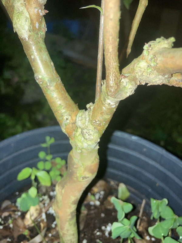 A7622064-B81A-4088-8D76-C68FC798F4E0