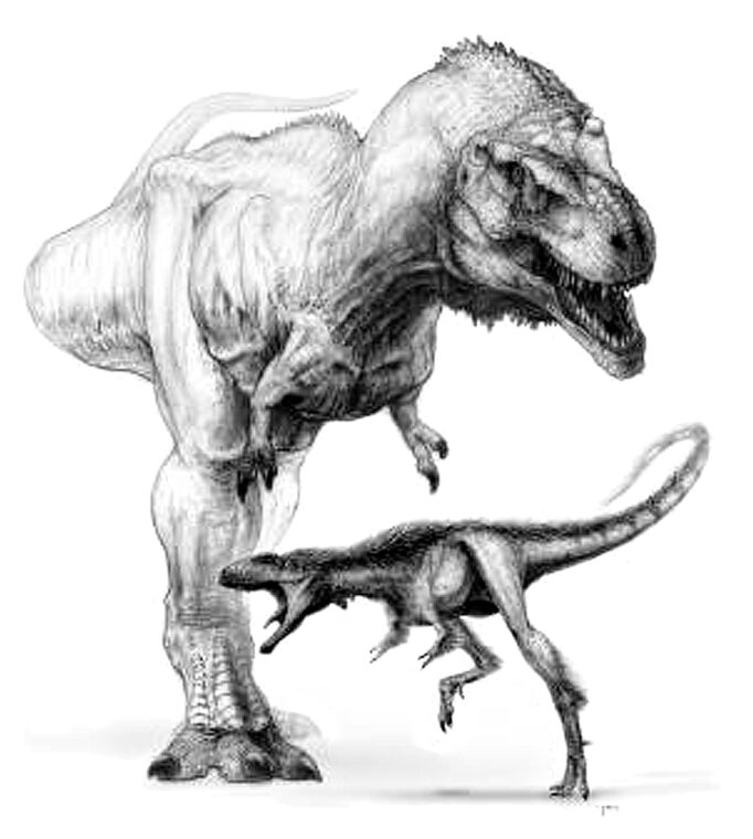 09806a-t.-rex-lilla-forfader-682x760