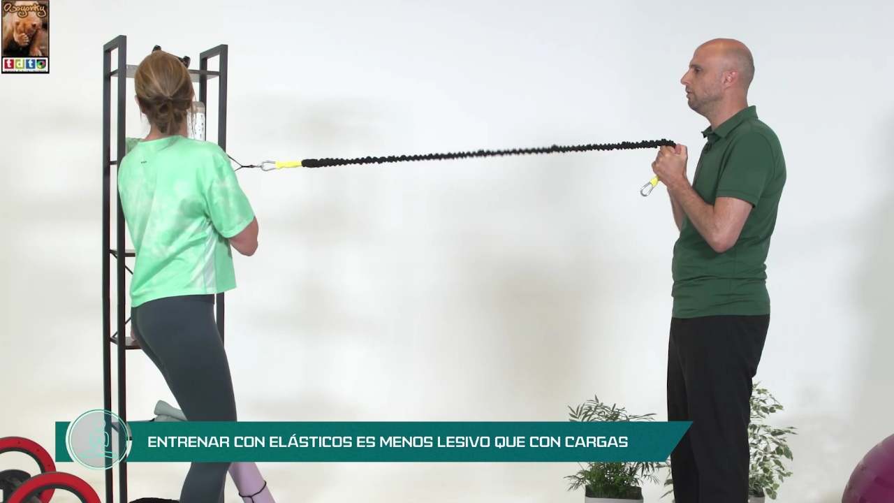 elsaankaculopompaPHORMA_oso3sw