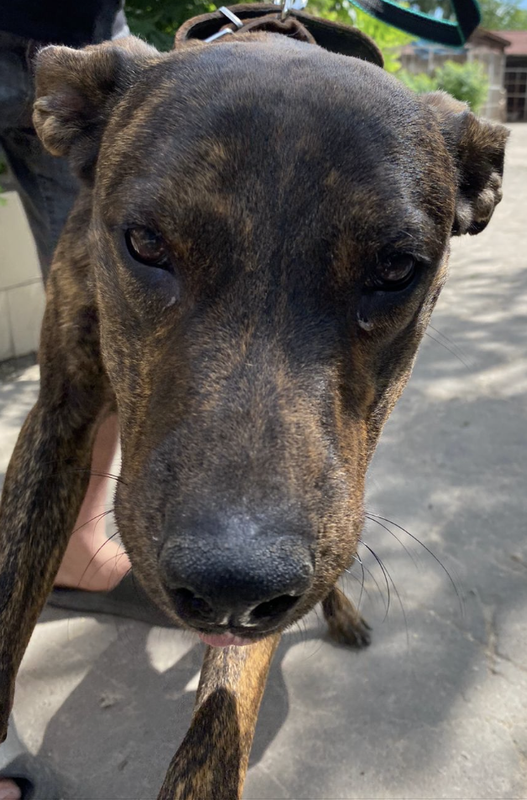 Снимок экрана 2024-06-11 в 21.12.01