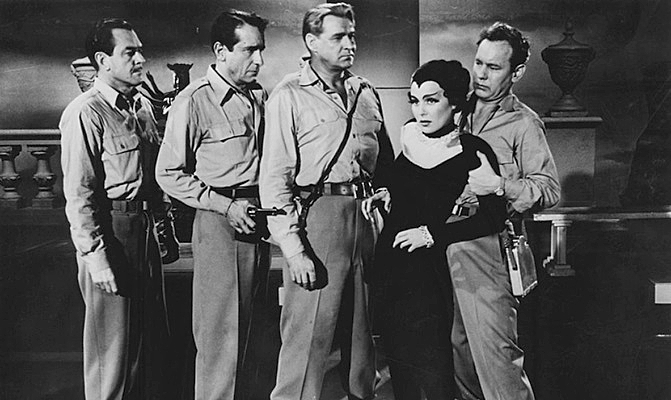 ELMER-BERNSTEIN-CAT-WOMEN-OF-MOON-1-FOTOR.jpg