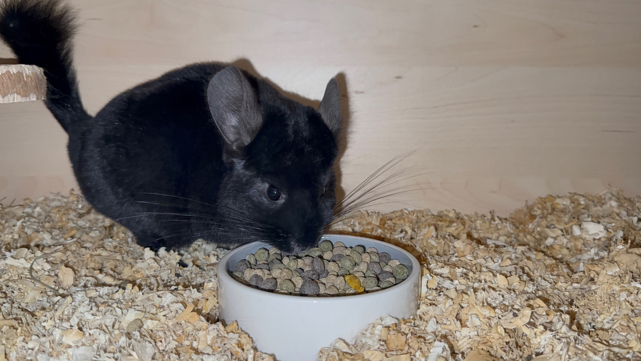 j8KEhVp6tXU6DUzwe6VjjcGbvUR7j3WAlzN47-P1aJIywkJZtlWJ7Mw6qmXSA78KVDTGFYRGBl0WNL19IZXqS43I