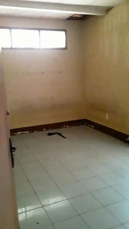 image-2.jpg