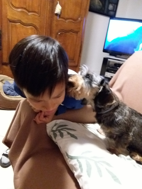 [Image: 20201021-215404-0-copy-1200x1600-1.jpg]