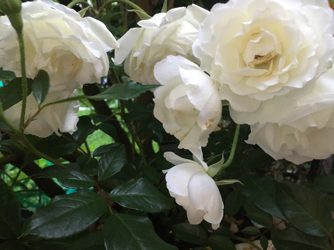 8189A073-A897-47FA-B2F3-D99BB35BEE8D