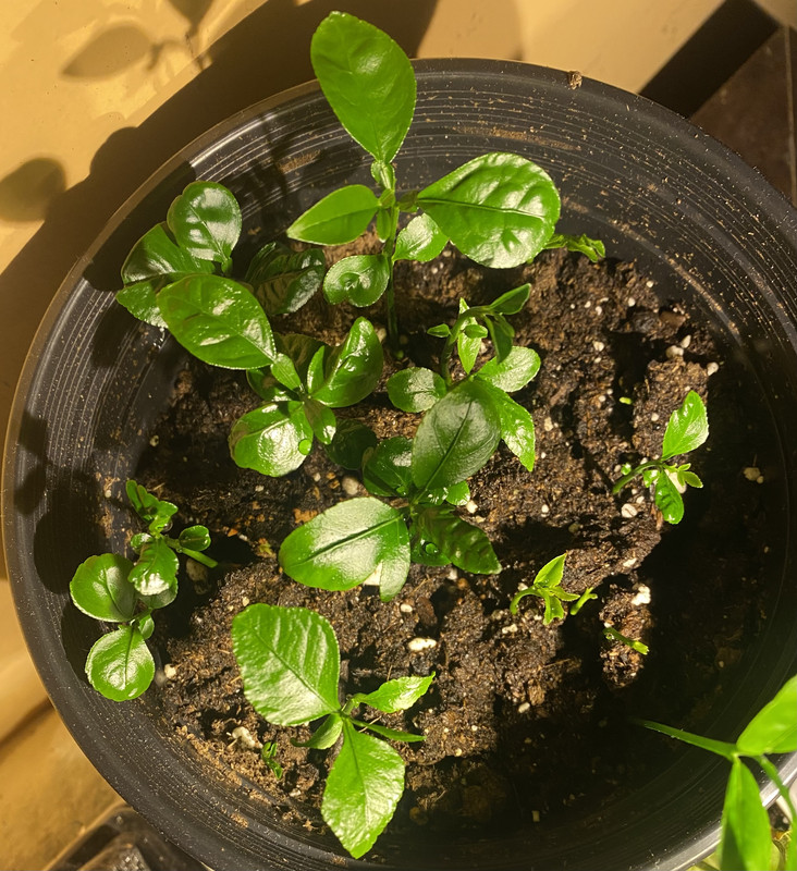 22A8BF01-3EC4-478F-B5BE-A7D05D8D16A5