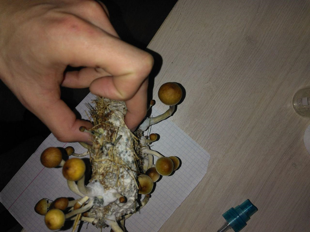 photo_2019-05-14_18-13-34 (1)