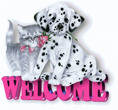 Welcomedogcat.gif