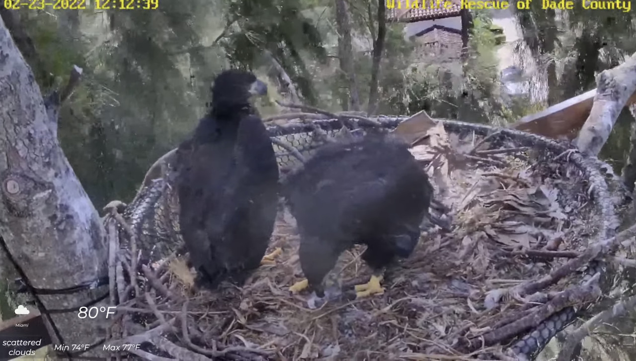 9BF7CD51-F65B-4C80-B778-880A72C6D40B