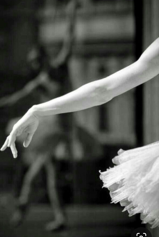 Screenshot_20240129_194152_Pinterest