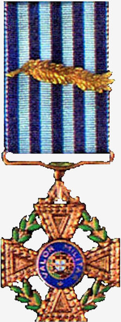 Medalha-de-Cobre-de-Valor-Militar