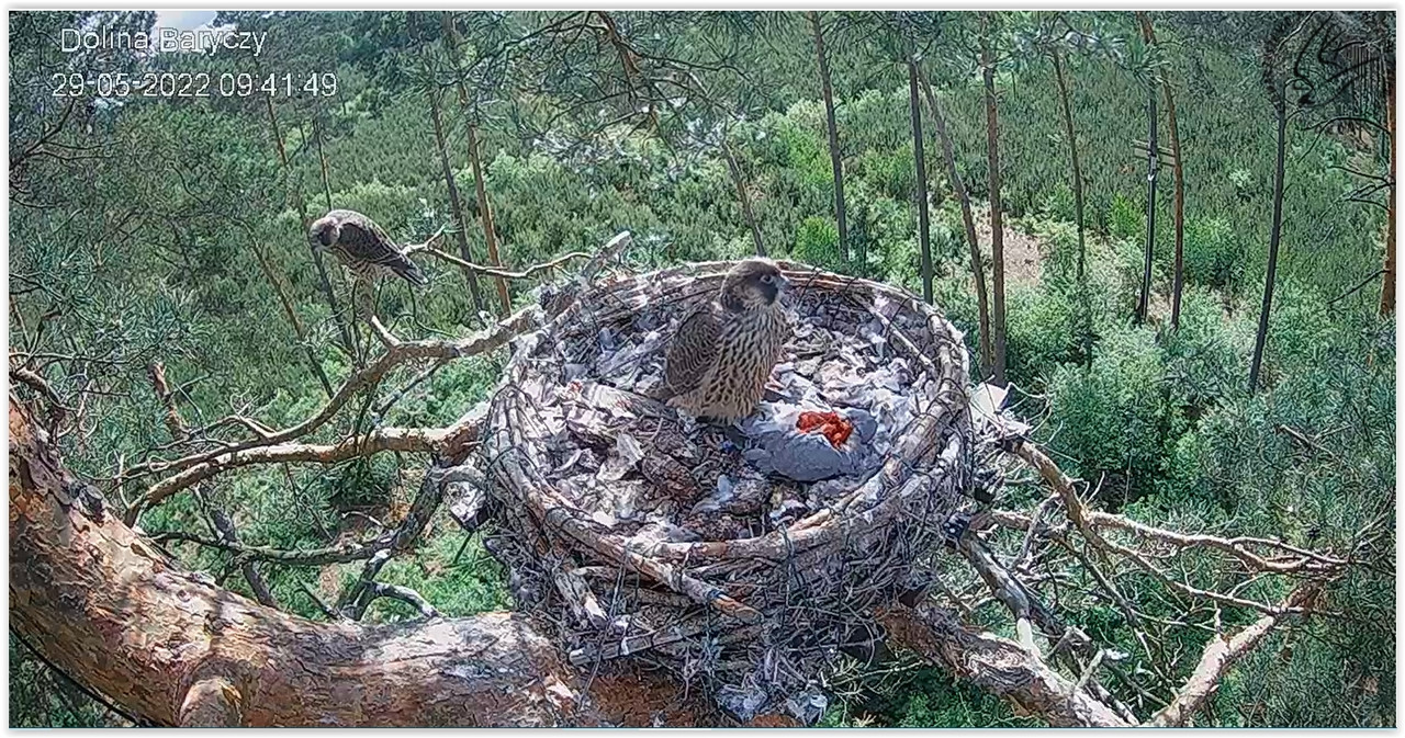 Screen Shot 05-29-22 at 09.42 AM