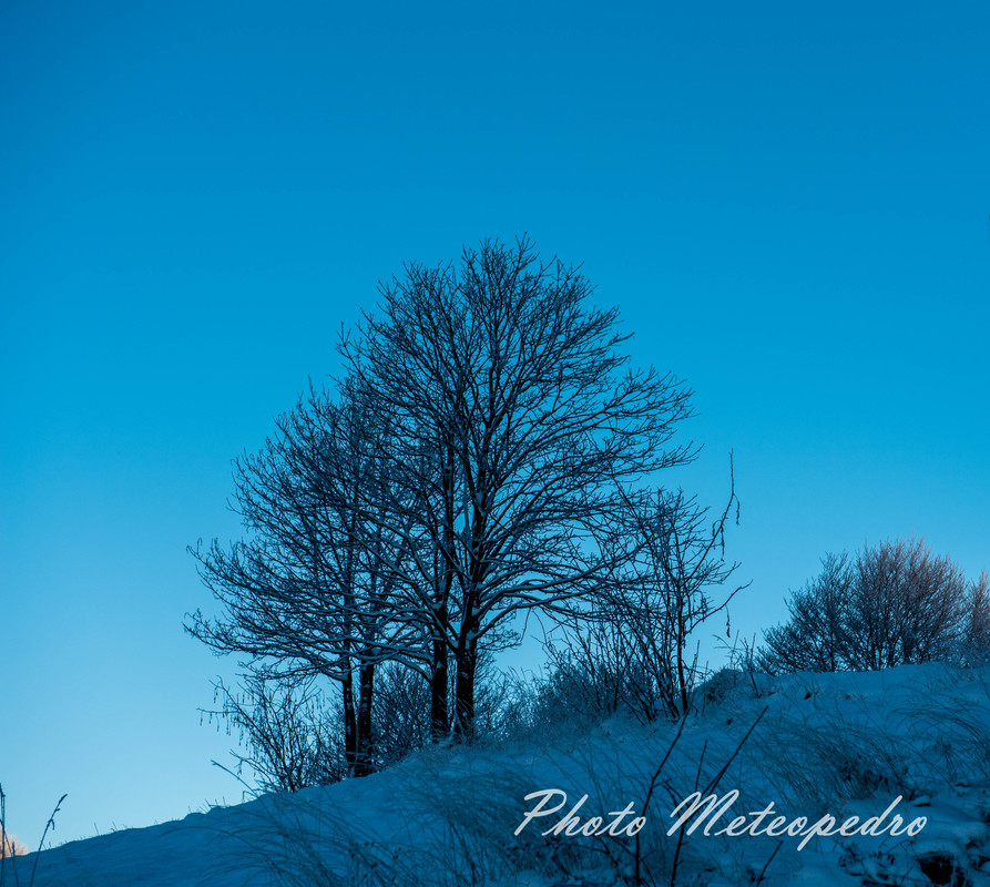 after the snowfall (13)