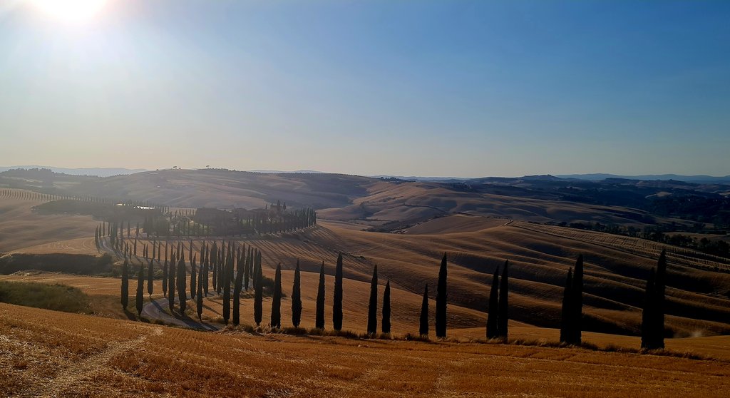 La Toscana 2022: entre termas y cipreses - Blogs de Italia - Los cipreses creen en Dios...y más en Val D'Orcia (9)