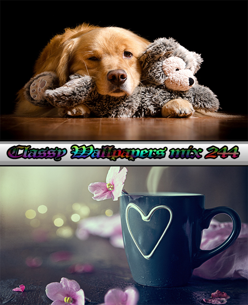 Classy Wallpapers mix 244