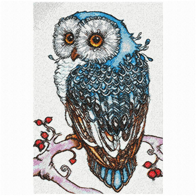 сова малая с компенсацией