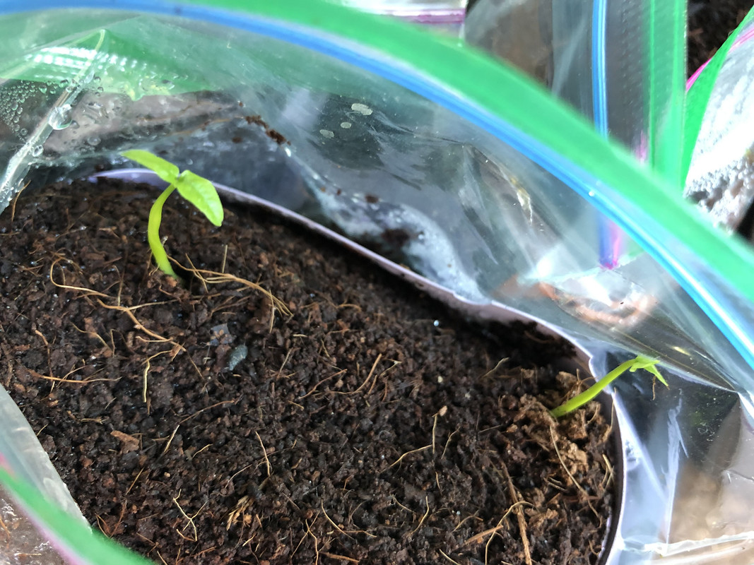 DC994689-CA94-48D2-9504-792990DDAD9E