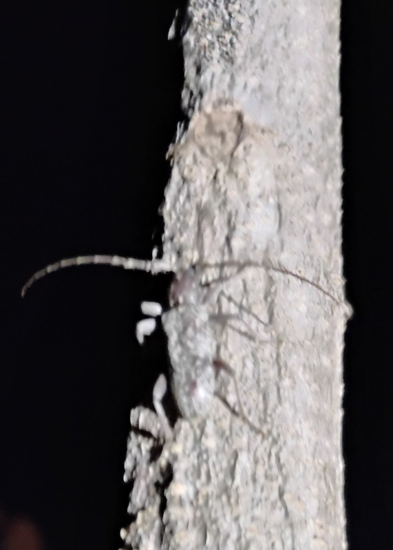 IMG 20260304 191148344 HDR 2