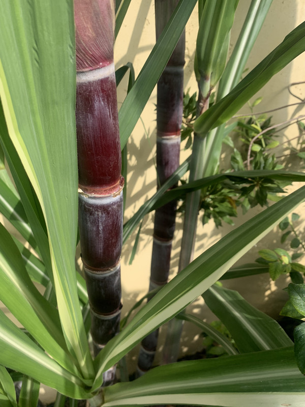 3092D64F-F07B-4415-BF09-57E4DFDB99C3