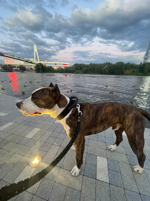 4AB9D5A1-6FEF-43B8-B146-9F6994461652