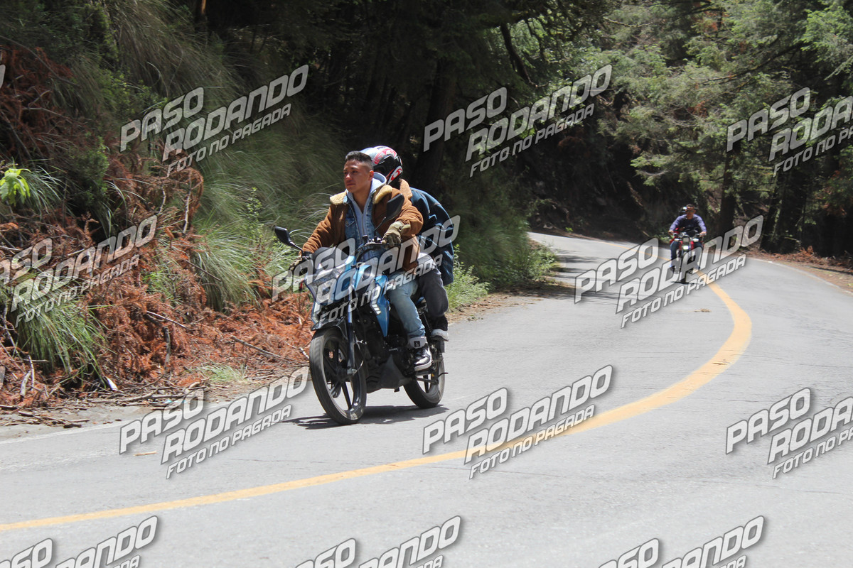 IMG 3331 wm 426338 watermarked — Postimages