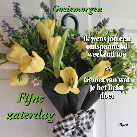 45886672-359381671490018-5412553211309457408-n-A