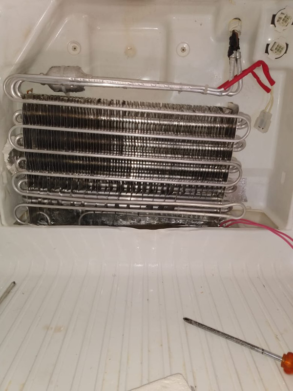 Serviço Especializado