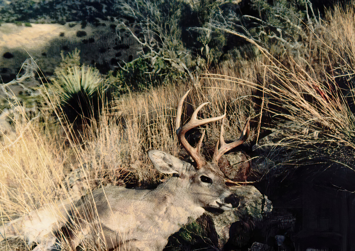 Ed-Topaz-Nik-First-Coues-CCF-000019.jpg