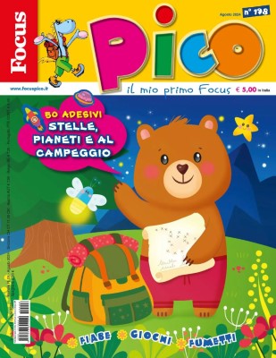 Focus Pico - Agosto 2024