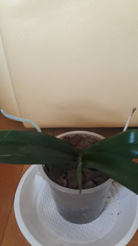 69526869_359120685033663_4534673269080457216_n