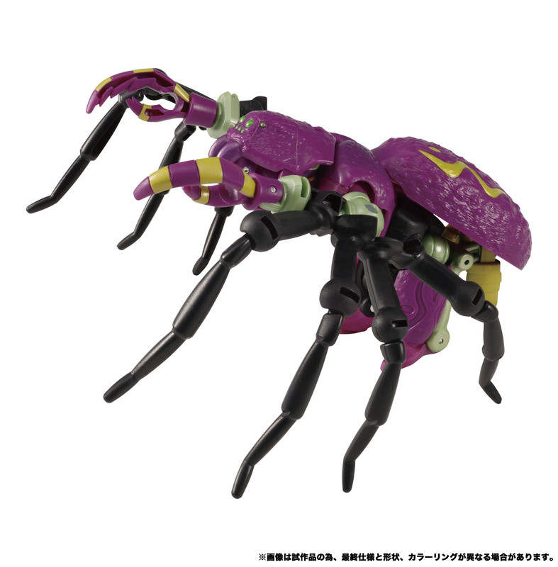 TL-11-Tarantulas-02