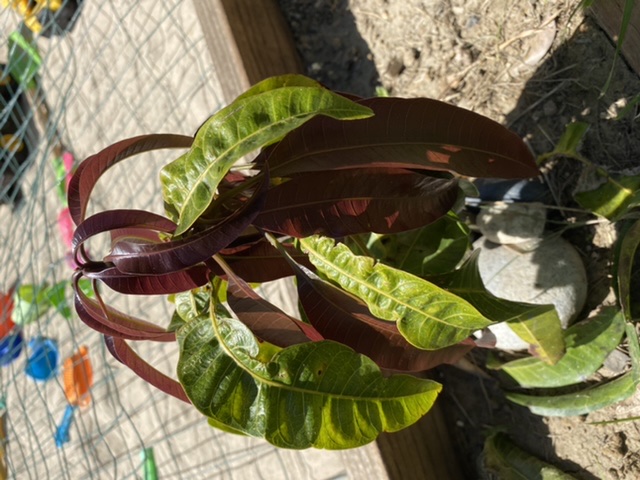 771A3CE1-E4C0-4127-8503-96D5E0191C1B