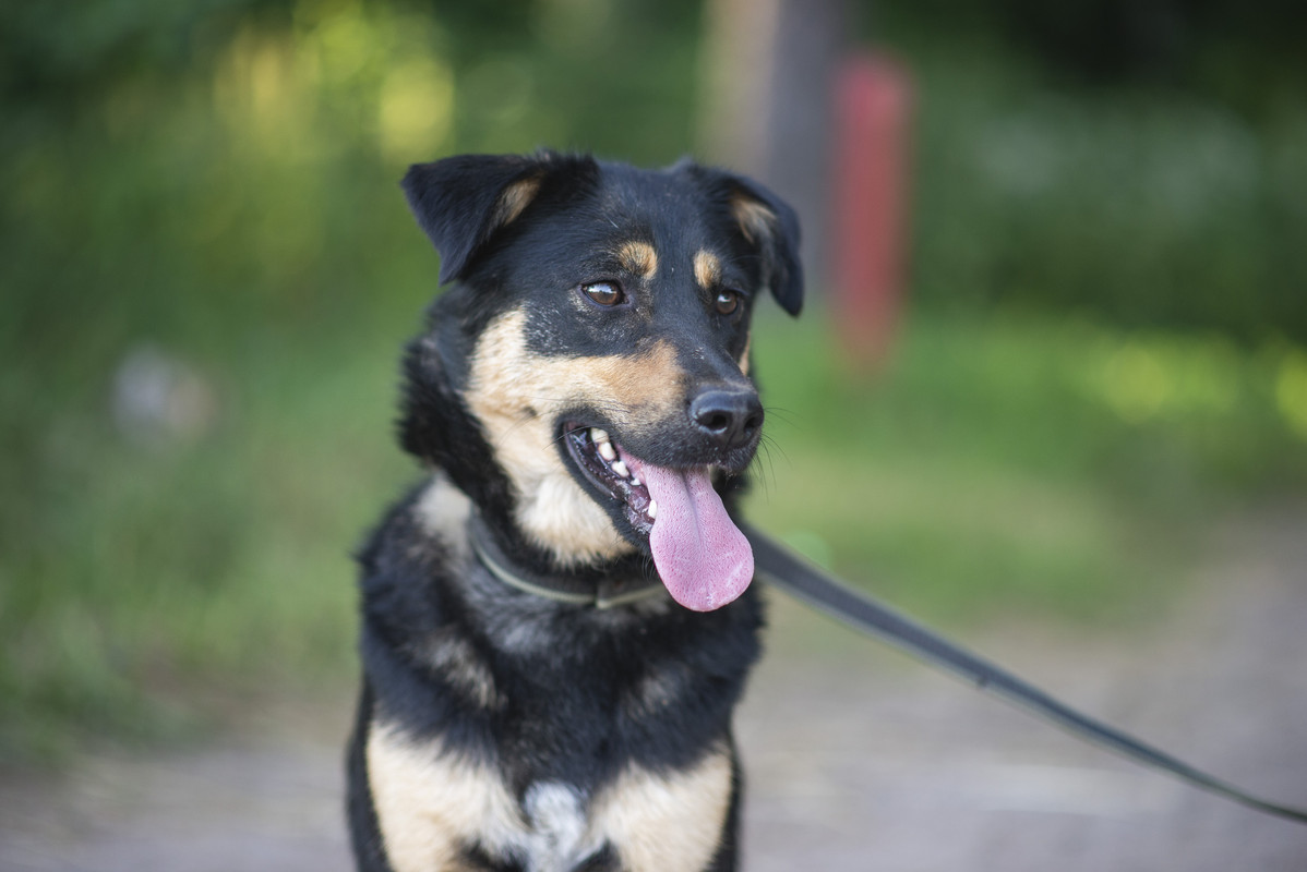 610_1213_барановичи