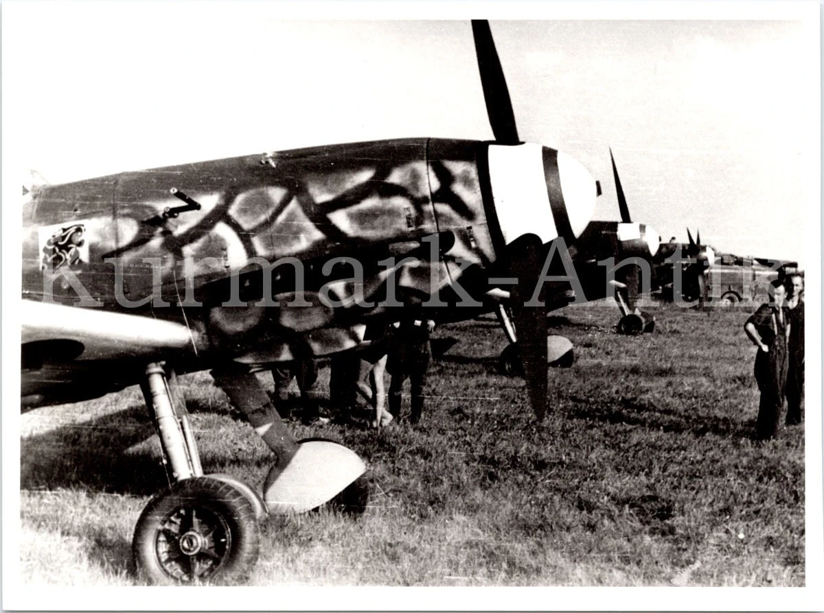 S233 Photo Wehrmacht Archive Repro Luftwaffe Aircraft Me109 JG54 Excellent Camo Camouflage