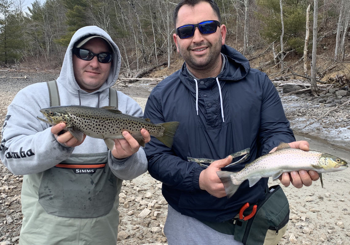 8DB5E086-E74C-4406-936E-66E6D195358F