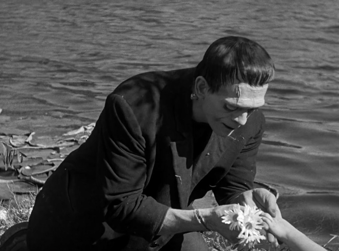 FRANKENSTEIN.mkv_snapshot_00.49.51.567