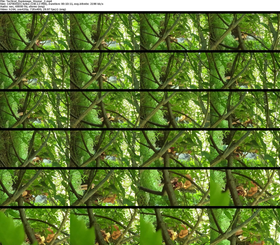 23092024111320screenshot