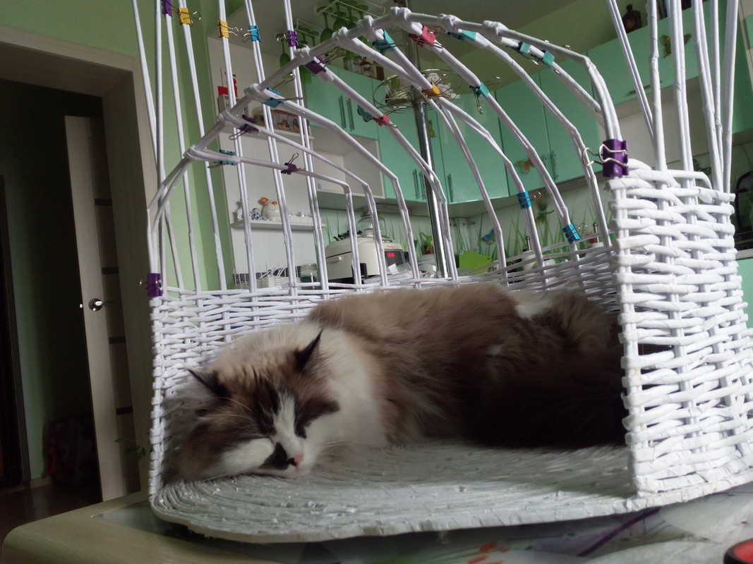 16501899761322100807254