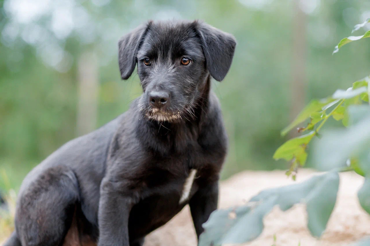 resize-image-online.com_1jpg_zYfrIU9J