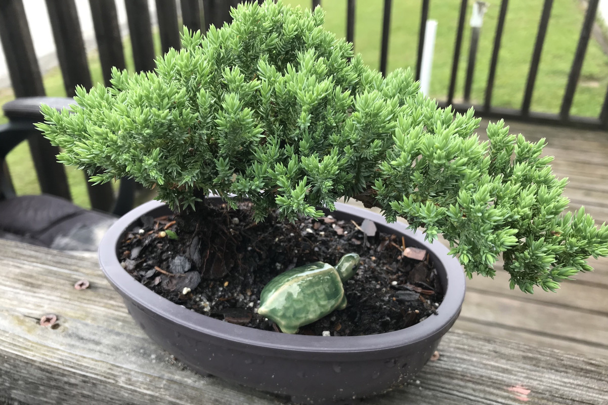 C309B83B-1673-419E-B1BA-C249ED471F9B