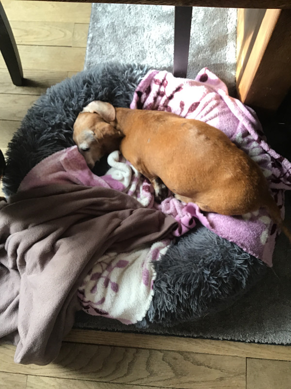 [Image: 3993307-D-C091-4-BF1-B58-A-A06-D70-B4-A3-D7.jpg]