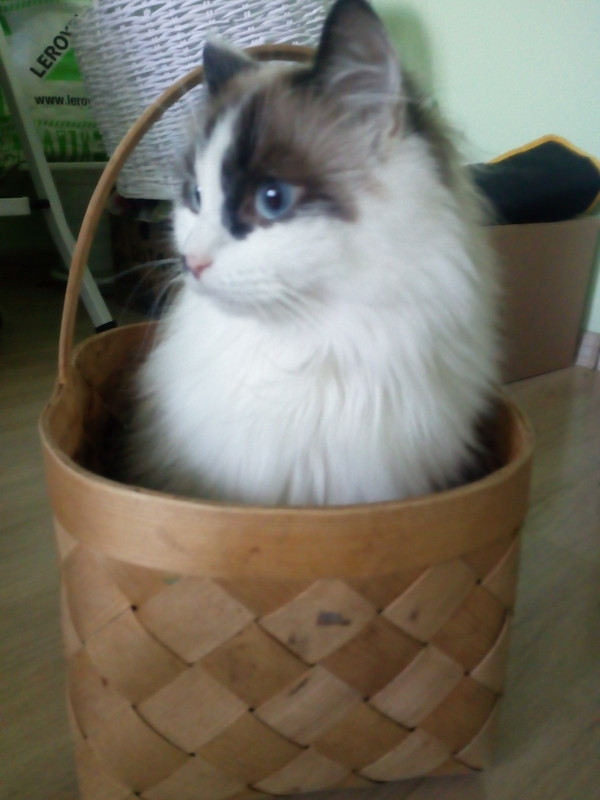 IMG_20220908_104755_BURST001_COVER