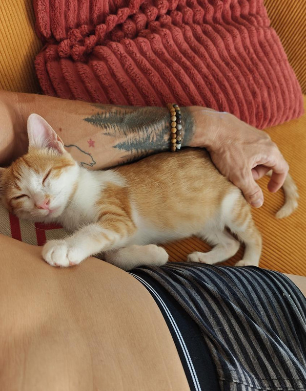 IMG-20260730-142118.jpg