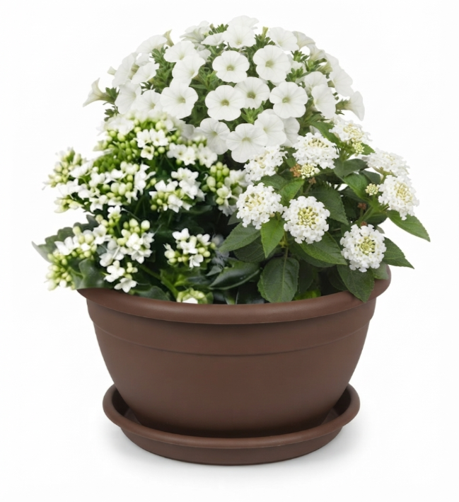 Composition enfant fleurs blanches 2