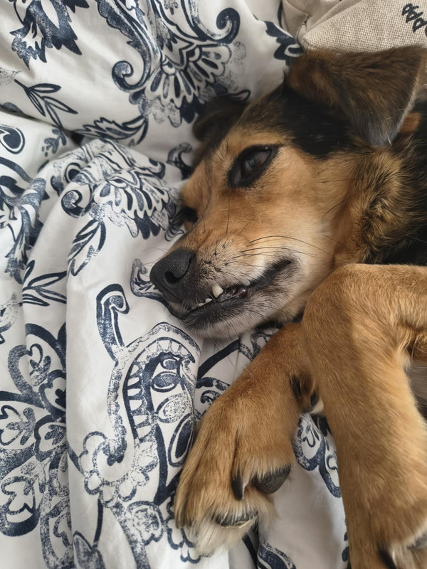 att.mDsrFJGu4vJdGM6GYE2tzps9iJ3HJ_t9-RqoFw8Xrpc