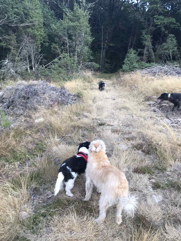 9310A06A-8AA2-4766-92BD-2A78D109FF96