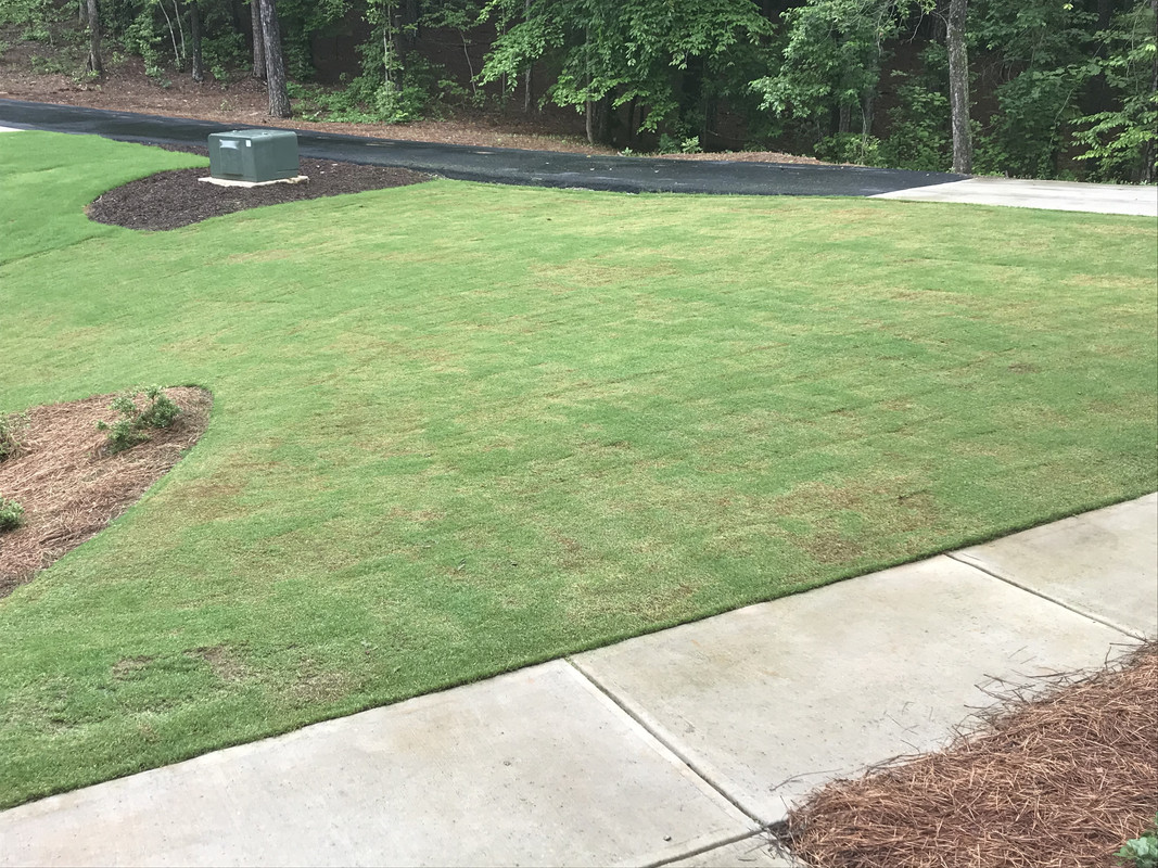 86CD3976-D14F-41A9-89EB-BDB471F863DF